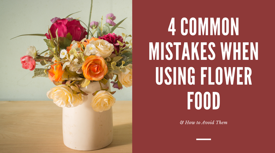 4 Common Mistakes When Using Flower Food and How to Avoid Them