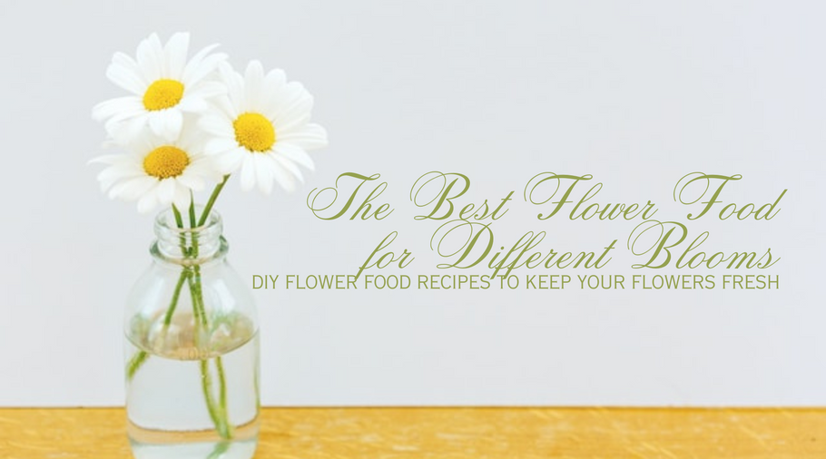 The Best Flower Food for Different Blooms: DIY Flower Food Recipes to Keep Your Flowers Fresh