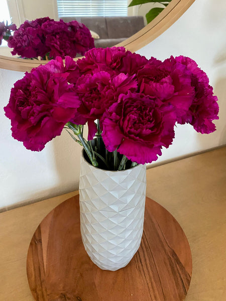Crazy for Carnations