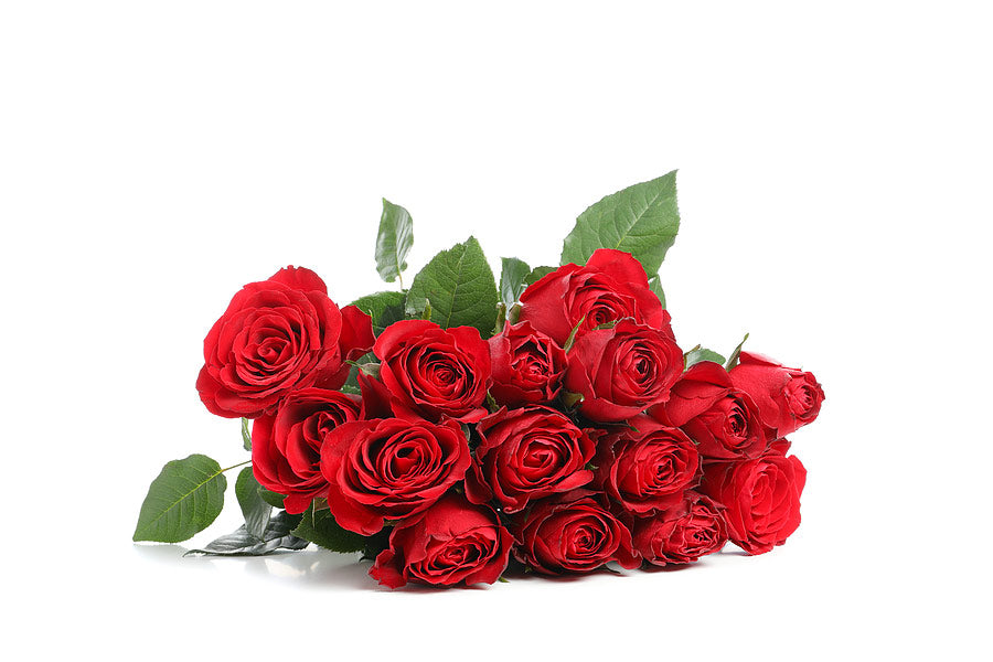 Red Roses Can Be Budget-Friendly
