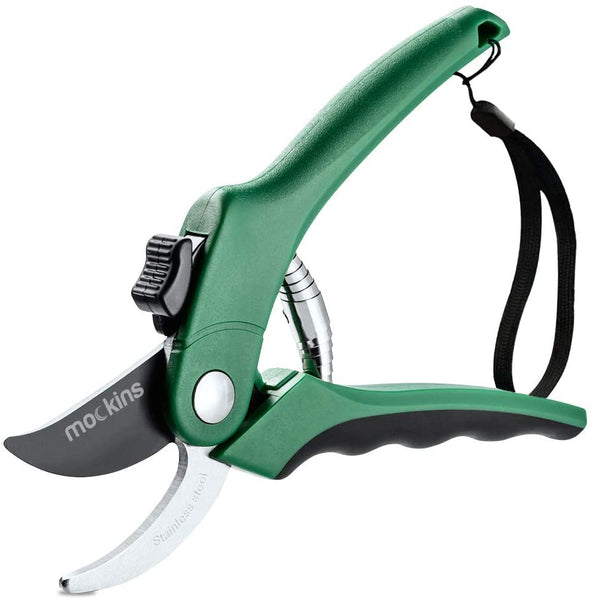 https://amaranthvase.com/cdn/shop/products/pruners_grande.jpg?v=1649086792